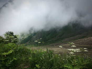 Scenic view of landscape against sky