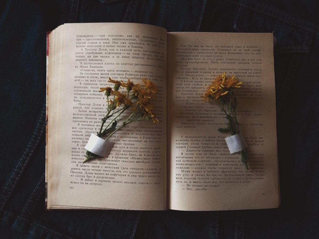 book, publication, text, open, page, flower, indoors, high angle view, flowering plant, table, still life, western script, paper, close-up, communication, no people, literature, education, plant, religion