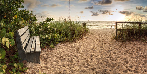 Wood bench overlooks white sand path leading toward delnor wiggins state park at sunset in naples