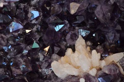 Full frame shot of leaves