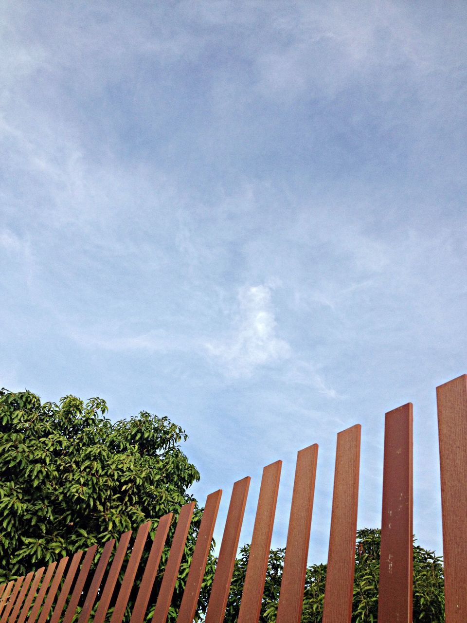 sky, tree, cloud - sky, low angle view, railing, tranquility, nature, growth, built structure, wood - material, cloud, fence, beauty in nature, tranquil scene, day, outdoors, scenics, no people, architecture, plant