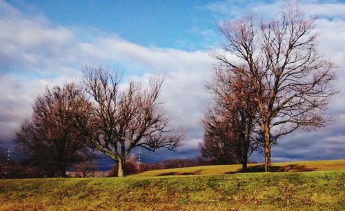 Bare trees on grassy field against cloudy sky