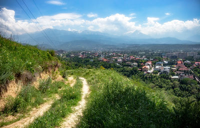 Scenic view of town against sky