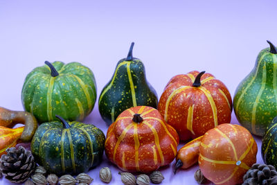 Close-up of pumpkins against blue background