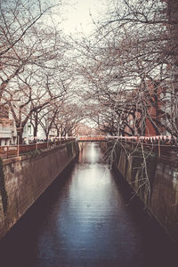 River passing through city