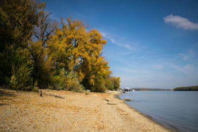 Scenic view of trees against sky during autumn