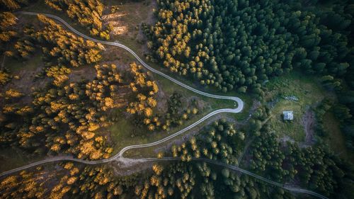 High angle view of road amidst trees in forest