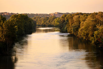 Scenic view of river amidst trees against sky