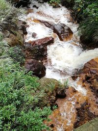 High angle view of water flowing in grass