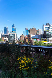 Plants and buildings against blue sky