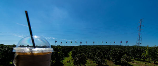 Close-up of beer in glass against sky