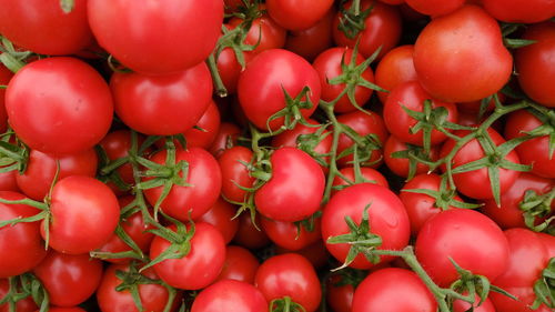 Close up tomatoes on market