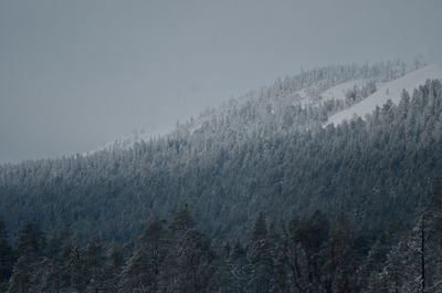 Scenic view of mountains against sky during winter
