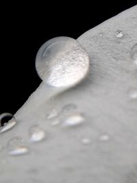 Close-up of water drops on white surface