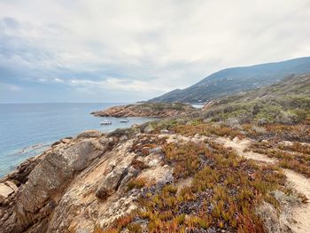 Scenic view of sea against sky