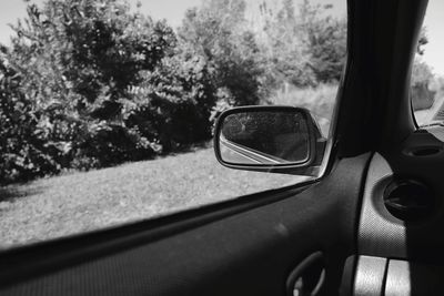 Reflection of car on side-view mirror