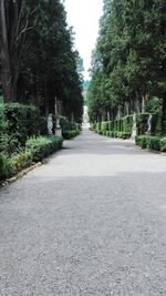 Footpath amidst trees against clear sky