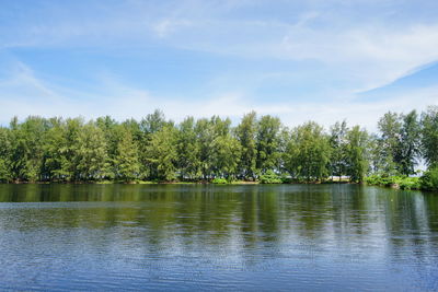Scenic view of lake by trees against sky