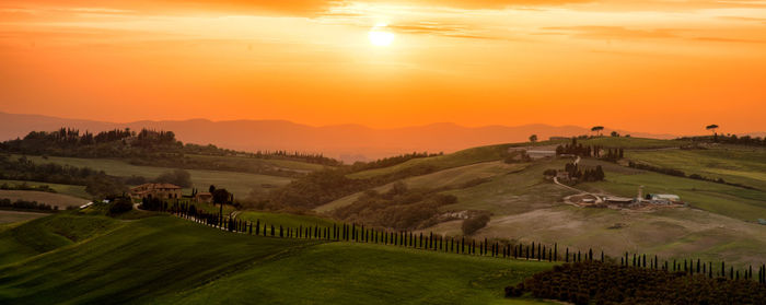 Scenic view of agricultural field against sky during sunset