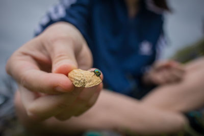 Close-up of hand holding leaf