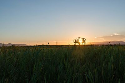 Scenic view of agricultural field against sky during sunset