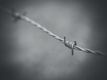 Close-up of barbed wire