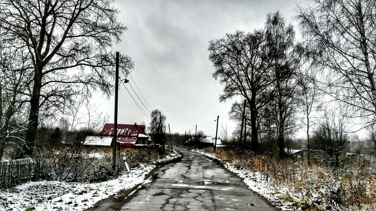 ROAD AMIDST BARE TREES DURING WINTER