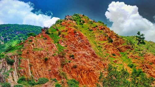 Low angle view of trees on mountain against sky