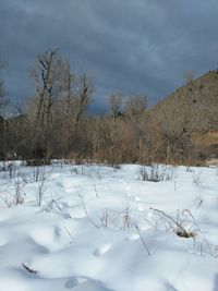 Scenic view of snow covered landscape