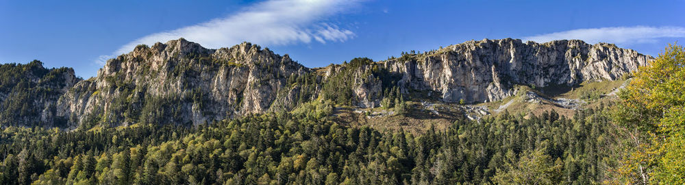 Panoramic view of mountain and trees against sky