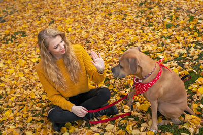 Low section of woman with dog during autumn leaves