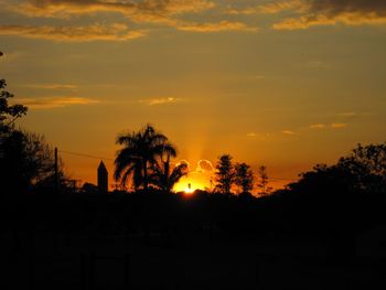 Silhouette trees against orange sky