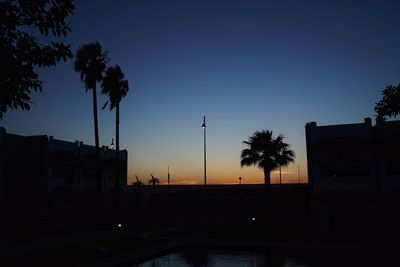 Silhouette palm trees against clear sky at sunset