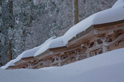 Snow covered land by trees