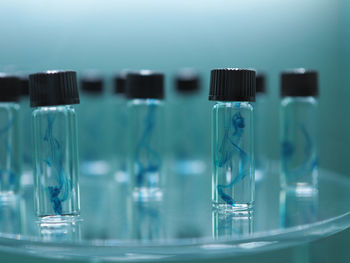 Close-up of sample bottles in laboratory