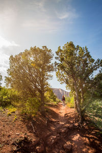 Man walking by trees on landscape against sky