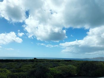 Scenic view of landscape against sky