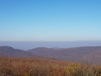 Scenic view of field against clear sky