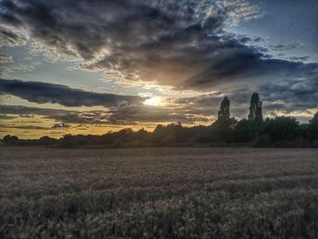 Scenic view of agricultural field against sky during sunset