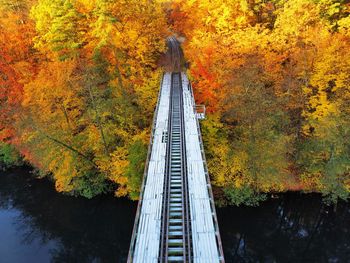 Railroad tracks amidst trees in forest during autumn