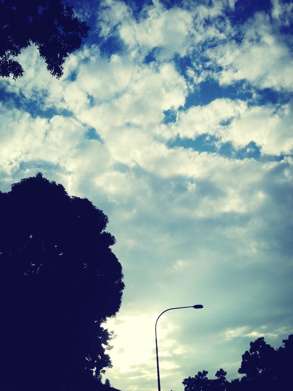 low angle view, sky, silhouette, tree, cloud - sky, cloud, street light, cloudy, nature, tranquility, beauty in nature, scenics, blue, outdoors, high section, no people, dusk, growth, lighting equipment, tranquil scene