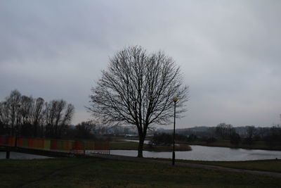 Bare tree against sky