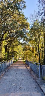 Empty road along trees in park during autumn