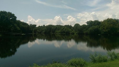 Reflection of trees in calm lake