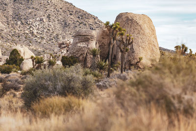 Rock formations on landscape against sky