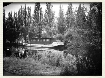 Plants growing on field
