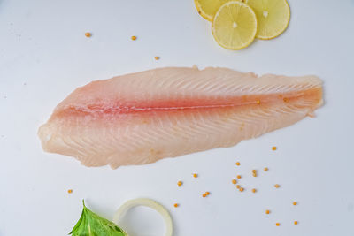 High angle view of fish on white background
