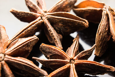 Close-up of dry leaf