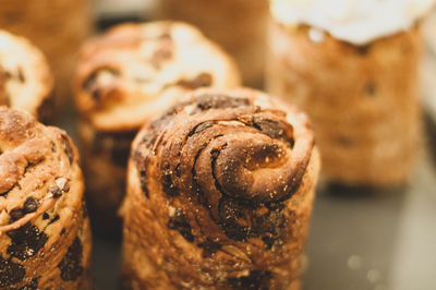 Close-up of chocolate cake