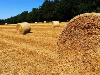 Hay bales on field against sky